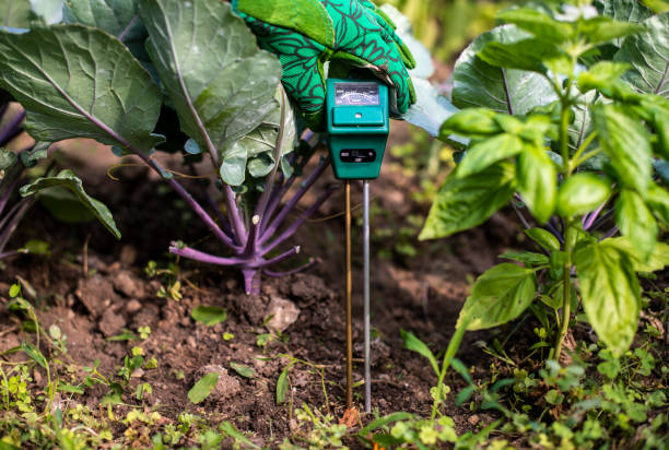 istock Moisture meter tester in soil. Measure soil for humidity, nitrogen and HP with digital device. 1189944054