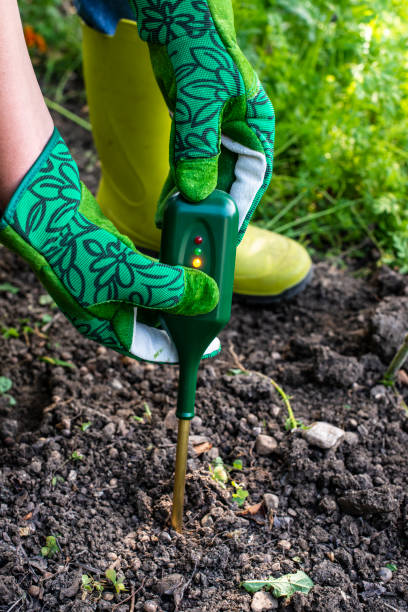 nutrients soil meter. measure soil for nitrogen content with digital device. woman farmer in a garden. - scientific experiment condensation instrument of measurement soil tester imagens e fotografias de stock