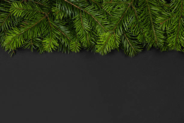 istock Christmas border of fir branches 1189944837