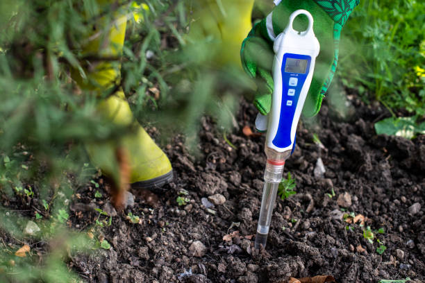 istock PH meter tester in soil. Measure soil with digital device. 1189945827