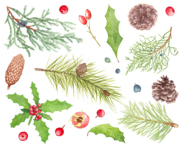 istock Watercolor Christmas plant and winter berries set 1189945840