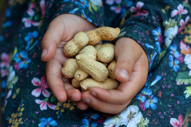 istock Handful of peanuts 1189950245