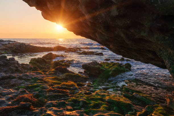 istock Colorful sunrise on a rocky seashore 1189952590