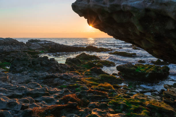 istock Colorful sunrise on a rocky seashore 1189952727