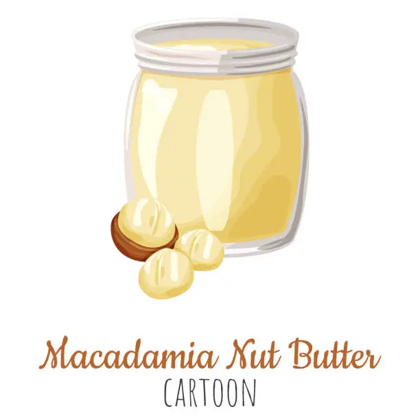Vector illustration of Macadamia nut butter spread vector illustration, cartoon isolated colorful nut butter in a jar.