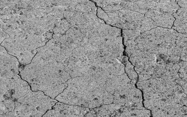 istock Abstract cement background. Cracked concrete texture closeup. 1189956914