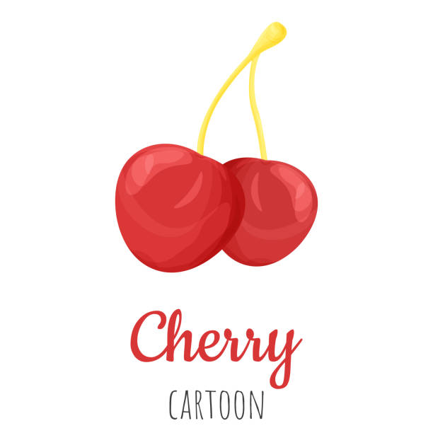 Cherry Fruit Isolated Closeup Illustration Cartoon Colorful Clipart Stock  Illustration - Download Image Now - iStock