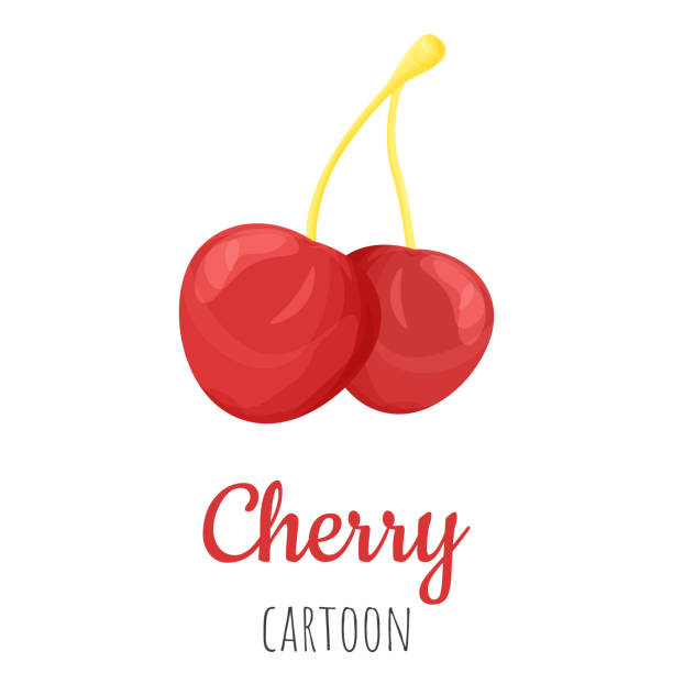Cherry Fruit Isolated Closeup Illustration Cartoon Colorful Clipart Stock Illustration - Download Image Now - iStock Cherry Fruit Isolated Closeup Illustration Cartoon Colorful Clipart Stock Illustration - Download Image Now - iStock