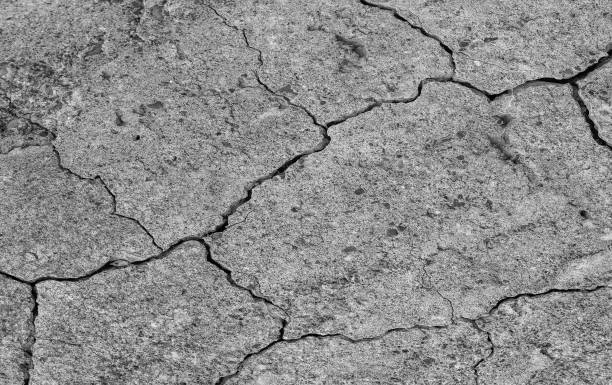 istock Abstract cement background. Cracked concrete texture closeup. 1189957061