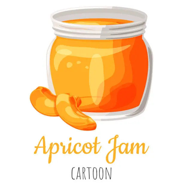 Vector illustration of Apricot fruit jam in a jar isolated close-up illustration, cartoon colorful clip-art.