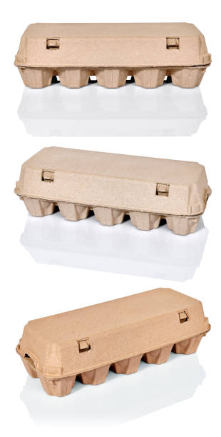 istock set of egg carton container box isolated on white with reflection 1189957849