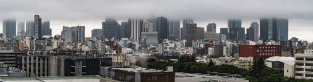 istock Foggy Tokyo 1189958789