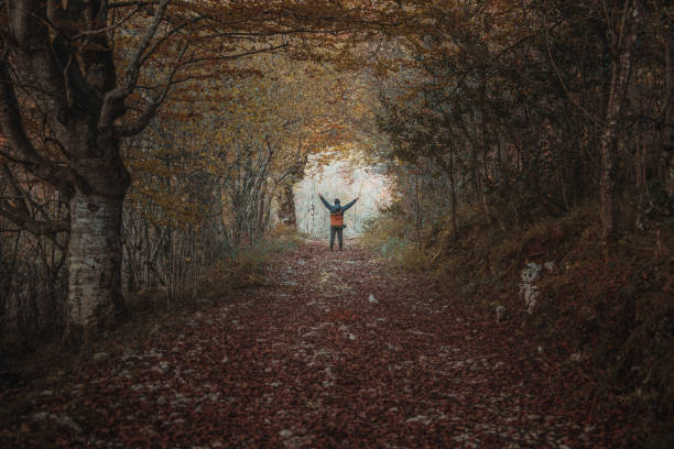 A tunnel in a forest with autumn tones