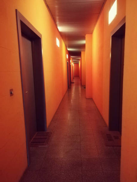 istock narrow orange hallway with doors 1189962363