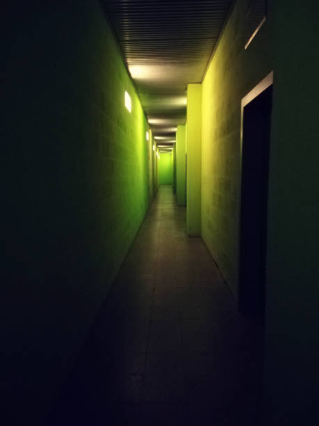 istock narrow green hallway with doors 1189962469