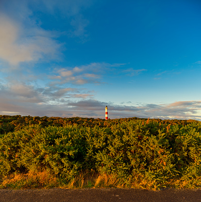 Looking at the lighthouse during a golden sunset over Scotlands beauty landscapes.