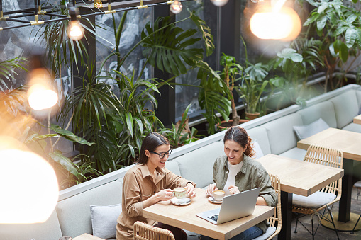 High angle portrait of two young women looking at laptop screen while enjoying coffee in outdoor cafe terrace decorated with plats, copy space