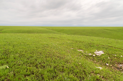 Green pasture land in the Flint Hills of Kansas