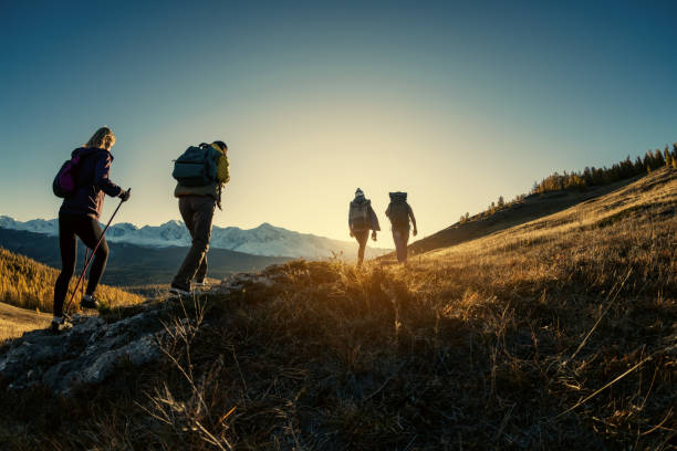 Group of hikers walks in mountains at sunset Group of young hikers walks in mountains at sunset time Hiking stock pictures, royalty-free photos & images