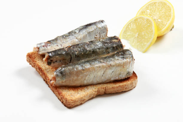 istock Sardines with Olive Oil as an Appetizer on toasted bread 1189969599
