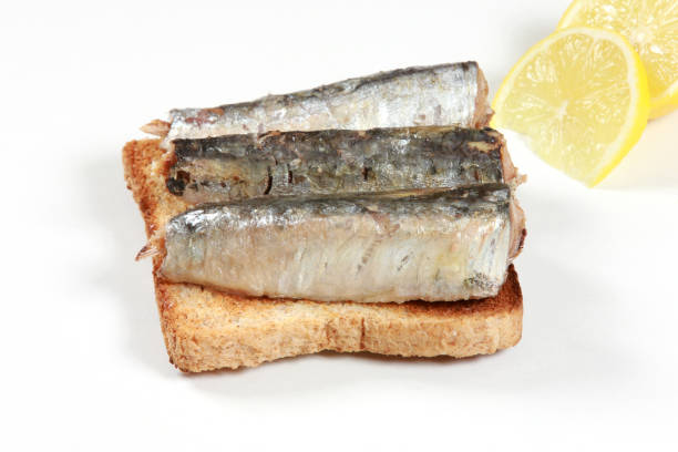 istock Sardines with Olive Oil as an Appetizer on toasted bread 1189969600
