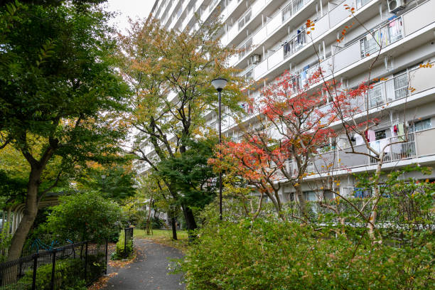istock A housing complex in Akishima City, Tokyo, Japan 1189971654