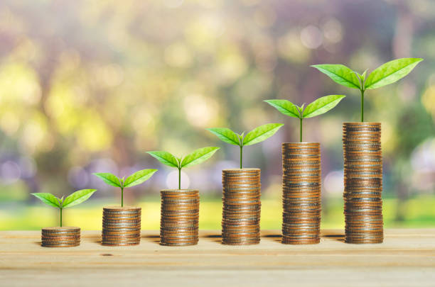 istock financial money saving concept. green plant growing on coin stack. 1189971827