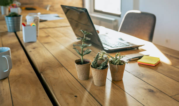 istock Workplace with laptop and assorted cactus in the foreground 1189971871