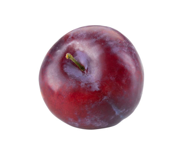 istock Smooth-skinned, mellow, purple plum fruit isolated on white background with copy space for text or images. Side view. Close-up shot 1189974257