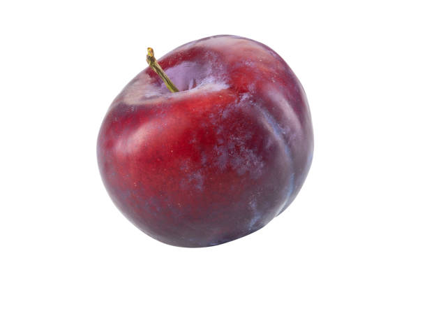 istock Smooth-skinned, mellow, purple plum fruit isolated on white background with copy space for text or images. Side view. Close-up shot 1189974451
