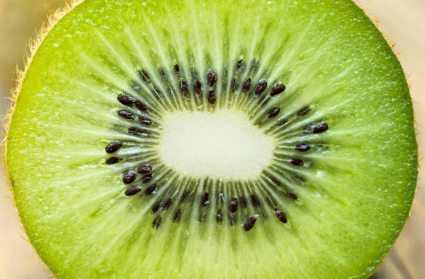 Close up of kiwi fruit slice background.