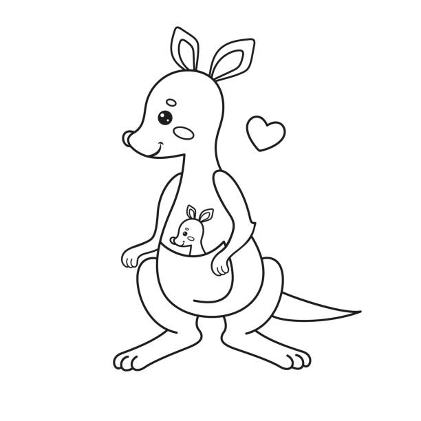 ilustraciones, imágenes clip art, dibujos animados e iconos de stock de página para colorear con un canguro. ilustración vectorial. - kangaroo animal humor fun