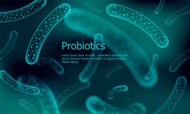 Bacteria 3D low poly render probiotics. Healthy normal digestion flora of human intestine yoghurt production. Modern science technology medicine allergy immunity thearment. Science background. Bacteria 3D low poly render probiotics. Healthy normal digestion flora of human intestine yoghurt production. Modern science technology medicine allergy immunity thearment. Science background. bifidobacterium stock illustrations
