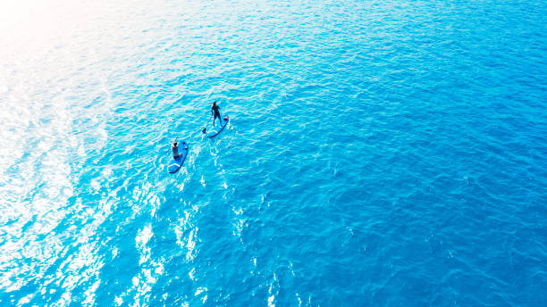 istock You haven't lived until you've tried paddle boarding 1189977748