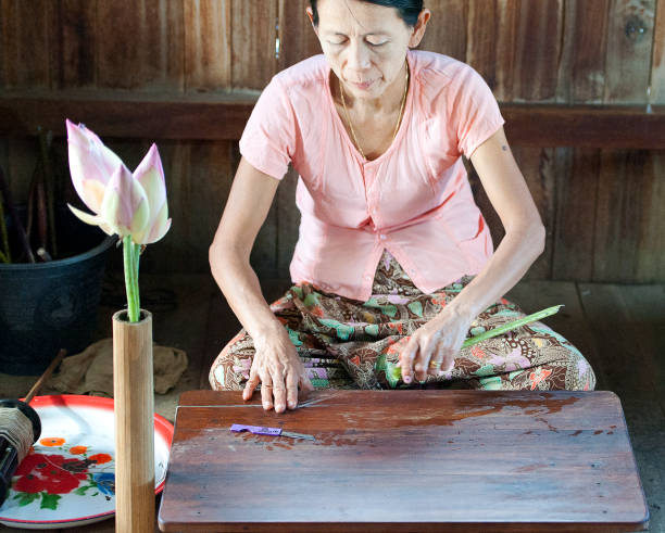 extracción de seda de loto, lago inle, estado de shan, myanmar - lotus root fotos fotografías e imágenes de stock
