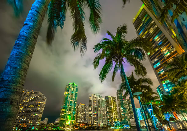 istock Palm trees and skyscrapers in Miami riverwalk 1189979962