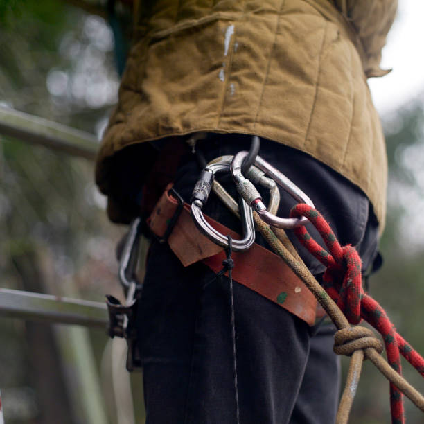 istock climber with climbing  tree up equipment 1189982951