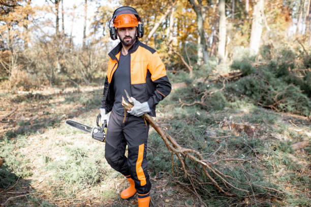 istock Professional lumberjack logging in the forest 1189983209
