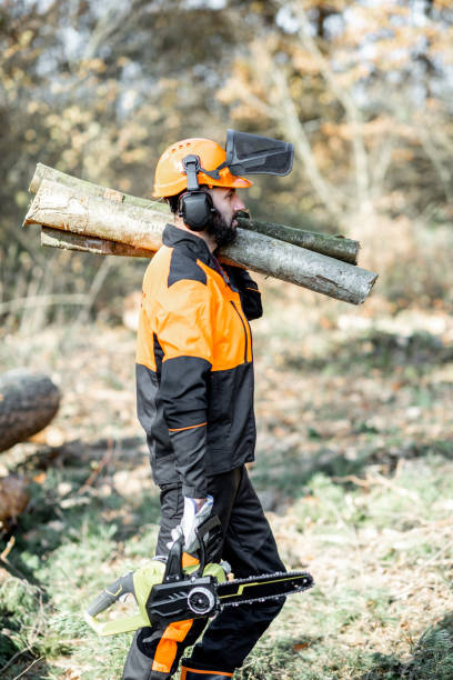 istock Professional lumberjack logging in the forest 1189983225