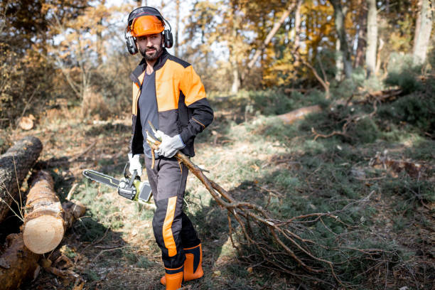istock Professional lumberjack logging in the forest 1189983256