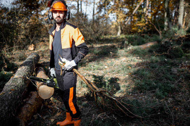 istock Professional lumberjack logging in the forest 1189983265