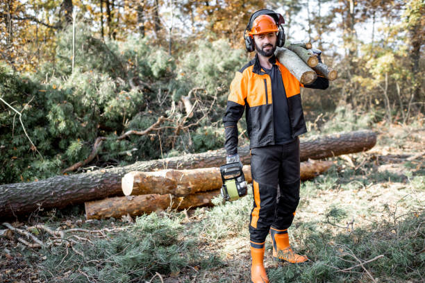 istock Professional lumberjack logging in the forest 1189983290