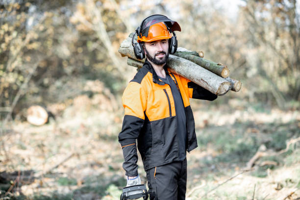 istock Professional lumberjack logging in the forest 1189983291