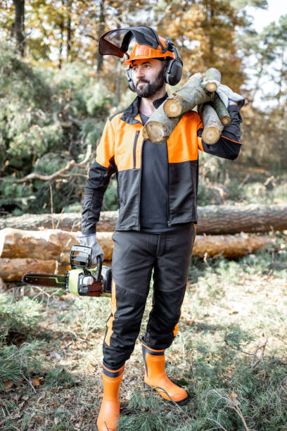 istock Professional lumberjack logging in the forest 1189983355