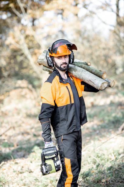 istock Professional lumberjack logging in the forest 1189983356