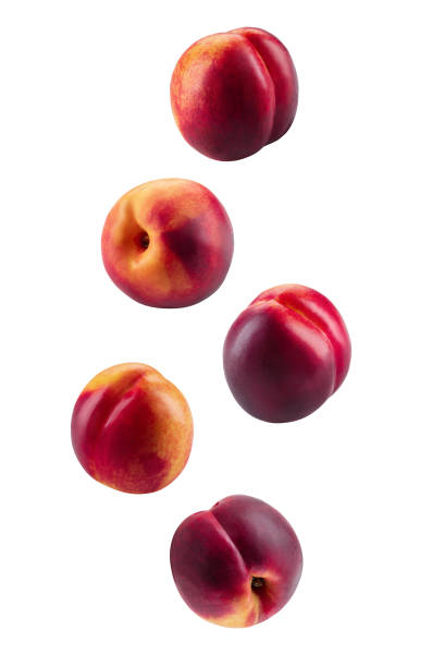 istock Five smooth-skinned nectarines isolated on white background with copy space for text or images. Close-up shot 1189983550