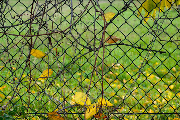 istock Metal grate in a park 1189984528