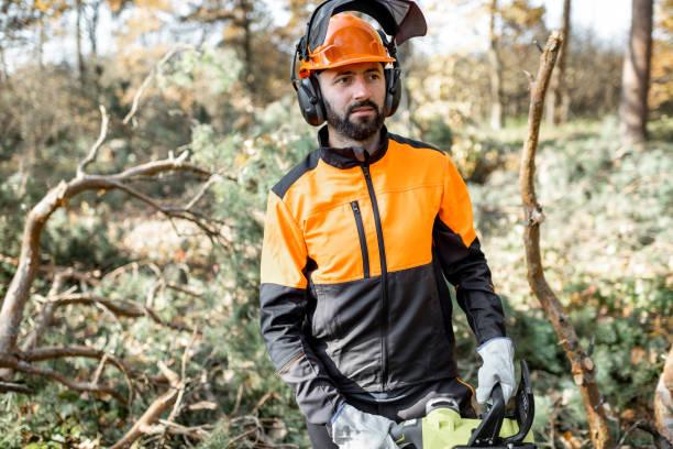 istock Professional lumberman in the forest 1189984539