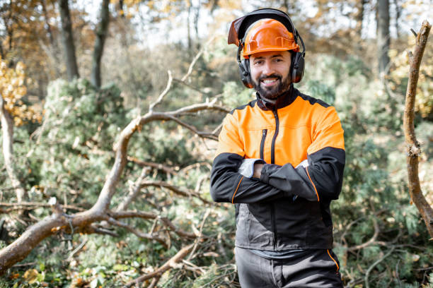 istock Professional lumberman in the forest 1189985279