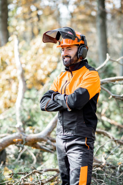 istock Professional lumberman in the forest 1189985412